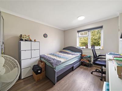 Picture 14